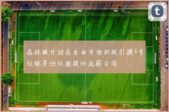 森林狼计划在自由市场积极引援4号位球员但仅能提供底薪合同