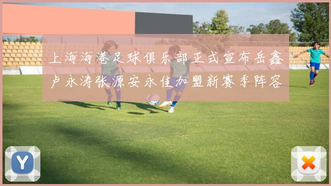 上海海港足球俱乐部正式宣布岳鑫卢永涛张源安永佳加盟新赛季阵容更新
